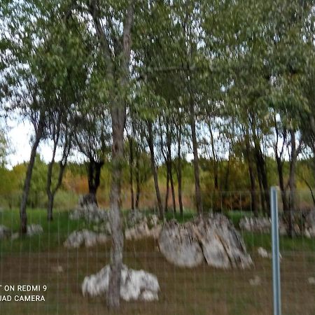 Apartman Deda Раковица Екстер'єр фото