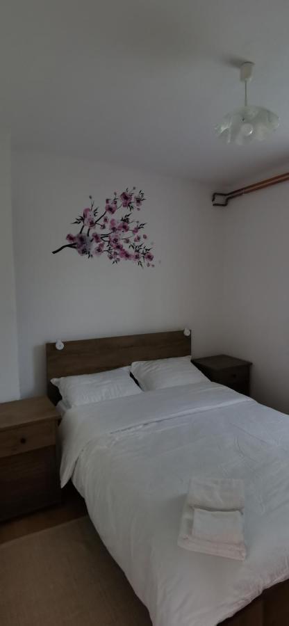 Apartman Deda Раковица Екстер'єр фото