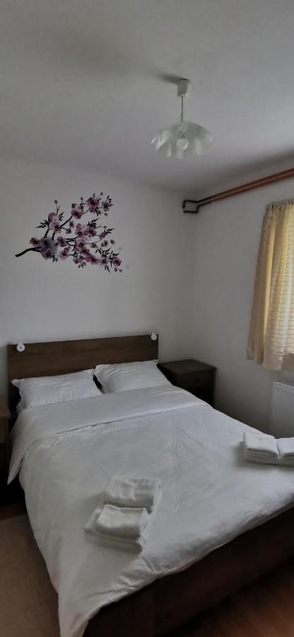 Apartman Deda Раковица Екстер'єр фото